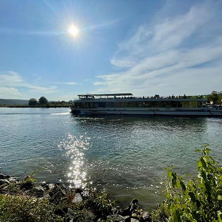 Chalet An Der Donau Direkt Bei Regensburg, 5 Sterne Dtv Pentling Екстериор снимка